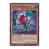 LC5D-EN088 Rose Tentacles