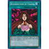 NUMH-EN053 Resurrection of Chakra