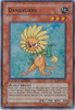 ABPF-ENSE1 Dandylion