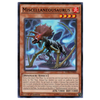 RATE-EN028 Miscellaneousauras