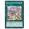 RATE-EN064 Ritual Beast Return