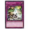RATE-EN080 Massivemorph