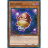 SDPL-EN001 Datacorn