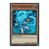 SHVA-EN024 White Dragon Ninja