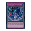 SHVA-EN028 Ninjitsu Art of Transformation