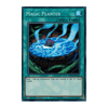 SHVA-EN055 Magic Planter