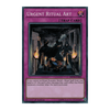 SHVA-EN060 Urgent Ritual Art