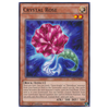 SP17-EN021 Crystal Rose