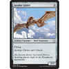Aesthir Glider