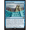 Ancestral Vision