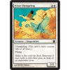 Avian Changeling