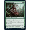 Awakener Druid