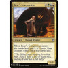 Bear's Companion