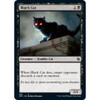 Black Cat