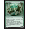 Blastoderm