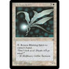 Blinking Spirit