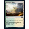 Blossoming Sands