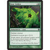 Boar Umbra