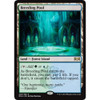 Breeding Pool (foil)
