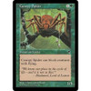 Canopy Spider