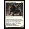 Cathar's Companion