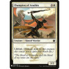 Champion of Arashin