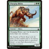 Charging Rhino