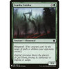 Conifer Strider