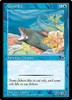 Coral Eel