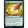 Cultivate (foil)