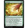 Cultivate | Masters 25