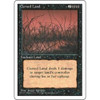 Cursed Land