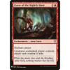 Curse of the Nightly Hunt