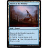 Desert of the Mindful