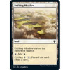 Drifting Meadow