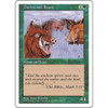 Durkwood Boars