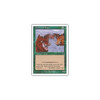 Durkwood Boars