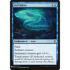 Eel Umbra