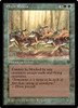Elven Riders