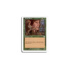 Elvish Bard