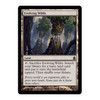 Evolving Wilds