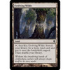 Evolving Wilds