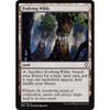 Evolving Wilds