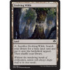 Evolving Wilds