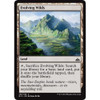 Evolving Wilds (foil)