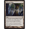 Evolving Wilds