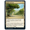 Exotic Orchard