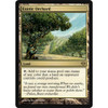 Exotic Orchard | Conflux