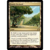 Exotic Orchard | Planechase 2012