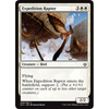 Expedition Raptor